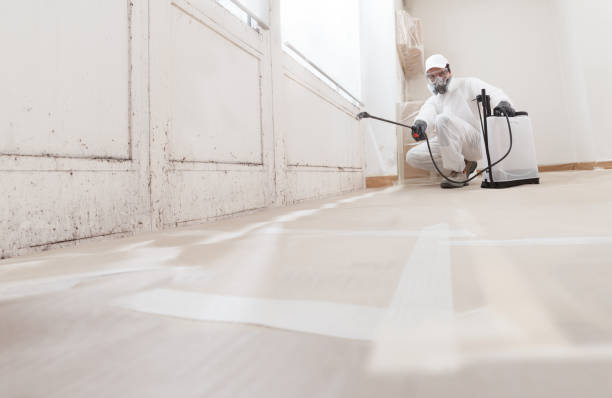 24/7 Emergency Black Mold Remediation experts in Louisville, IL